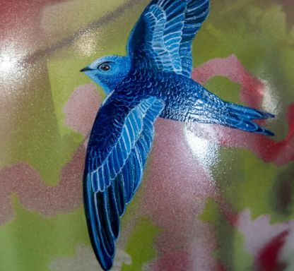 416x384-Petrtýlová