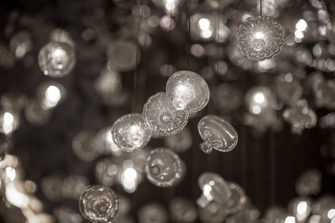 Jellyfish detail