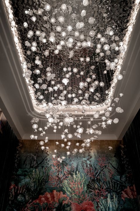 White medusas