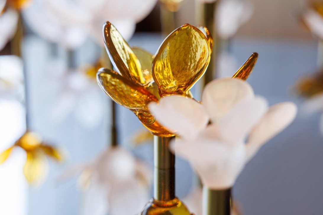 Blossom in detail