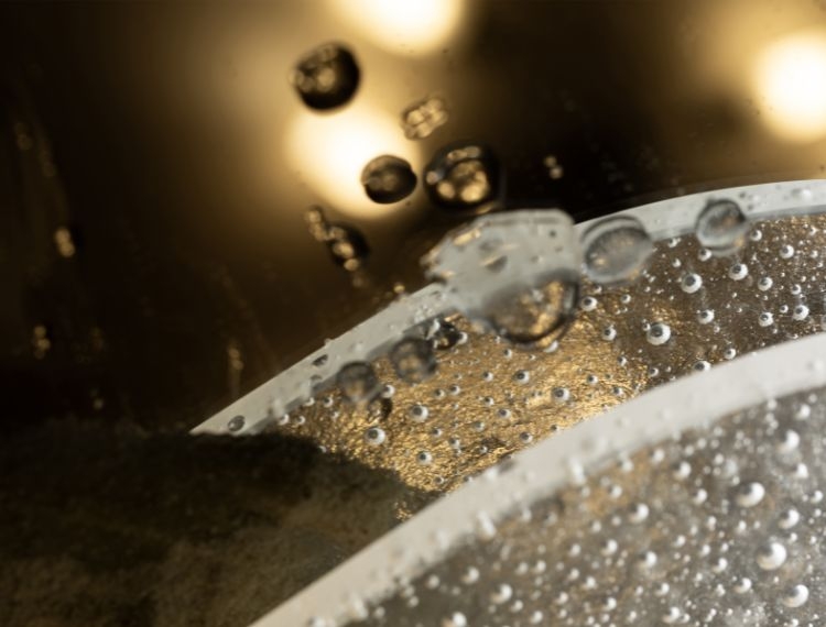 750x570-DDD-downloads