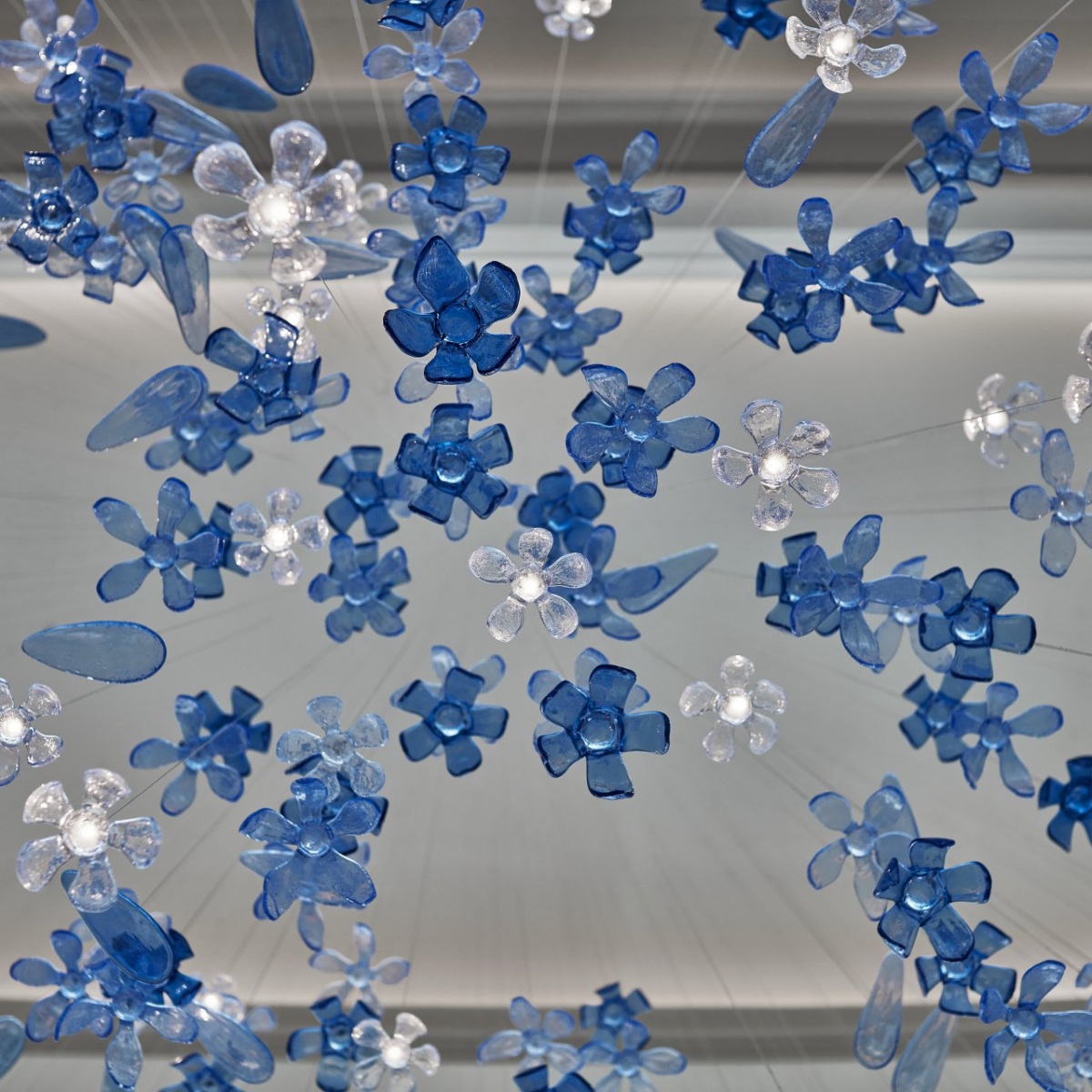 Květy a listy z pohledu zdola