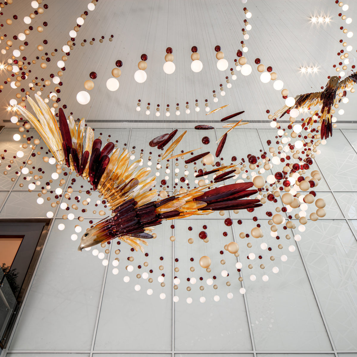 Two falcons in flight