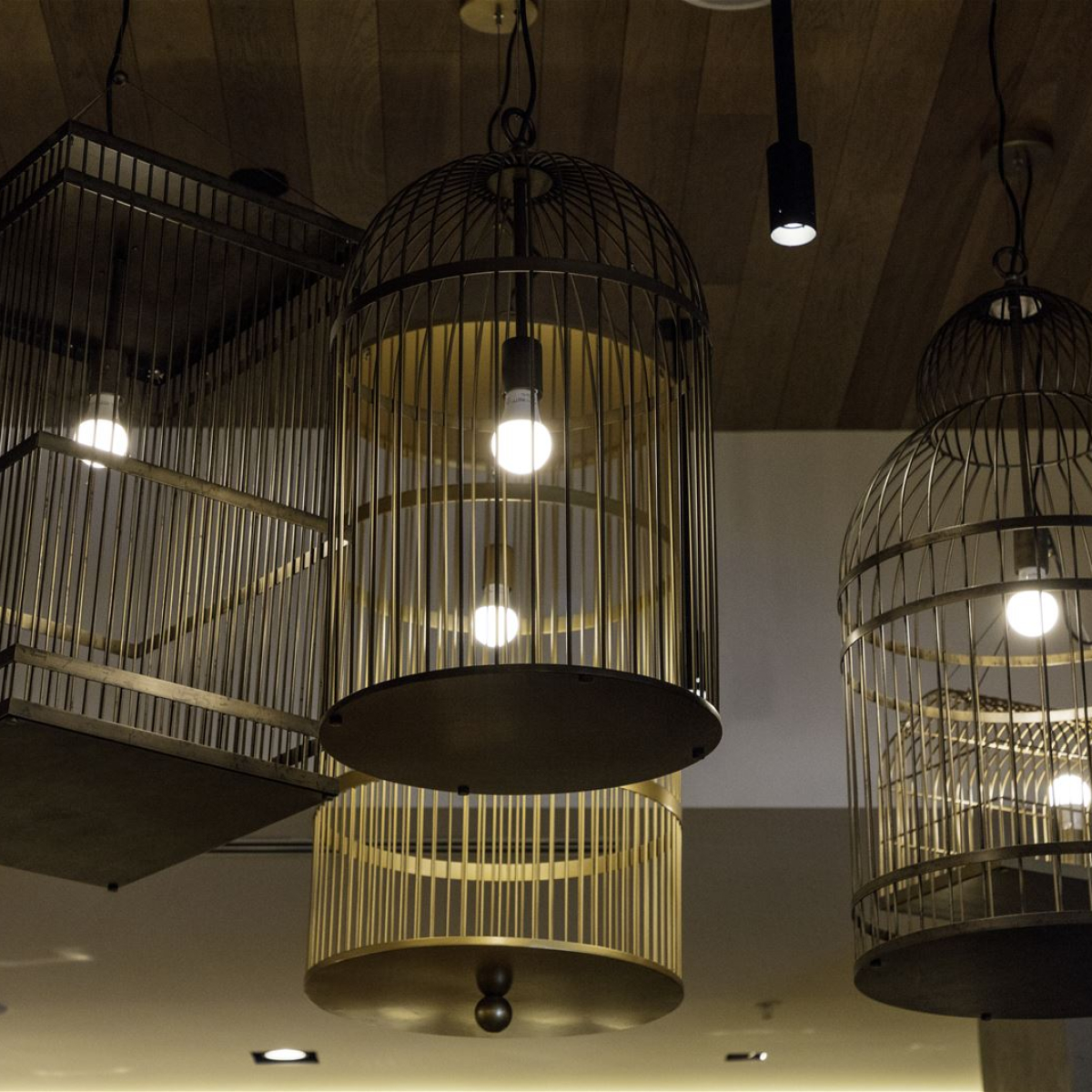 PRECIOSA_Lighting_16_PNY_096_Renaissance_Legacy_Plano_Dallas_Texas_2017_Photo_Shay_Velich_14_medium