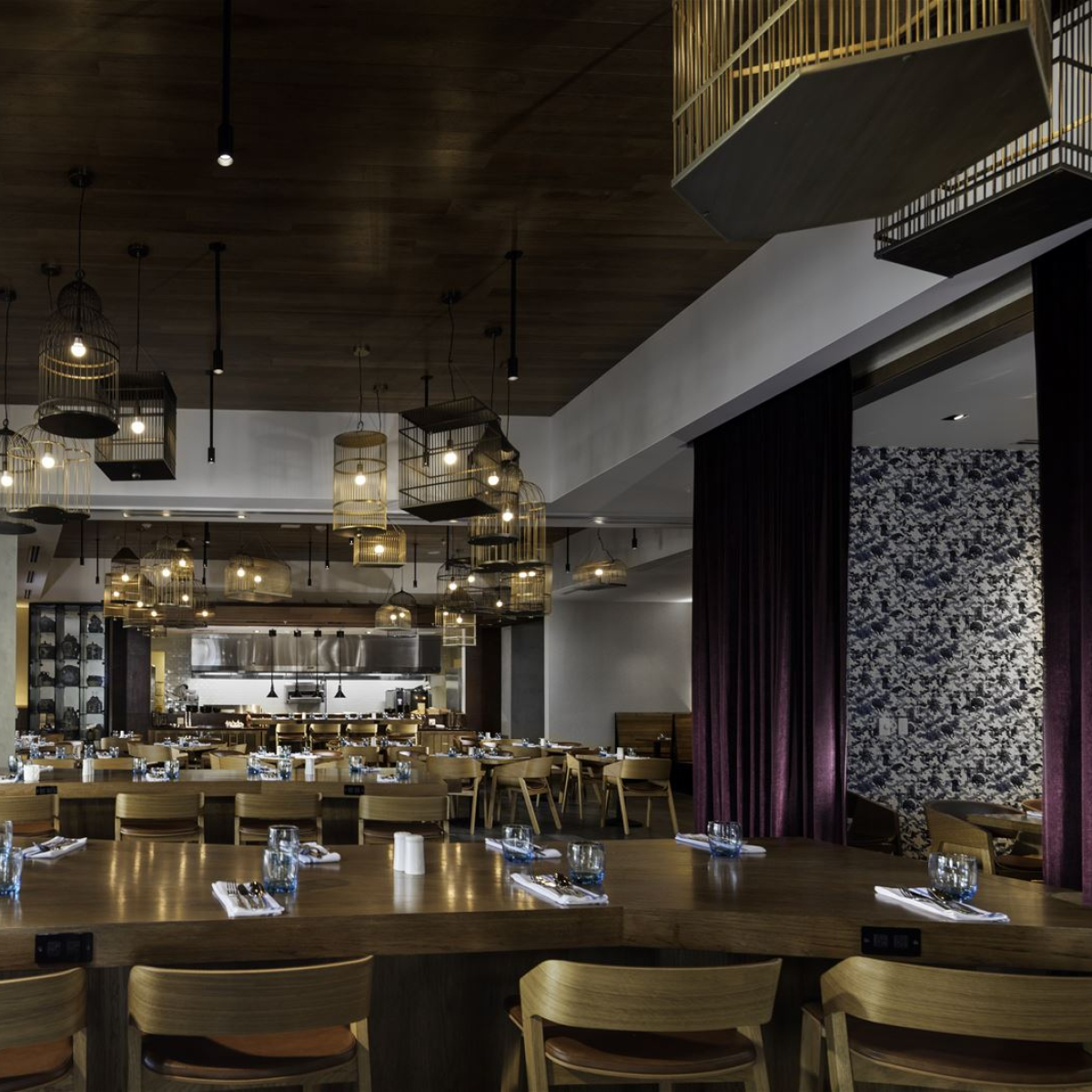 PRECIOSA_Lighting_16_PNY_096_Renaissance_Legacy_Plano_Dallas_Texas_2017_Photo_Shay_Velich_69_medium