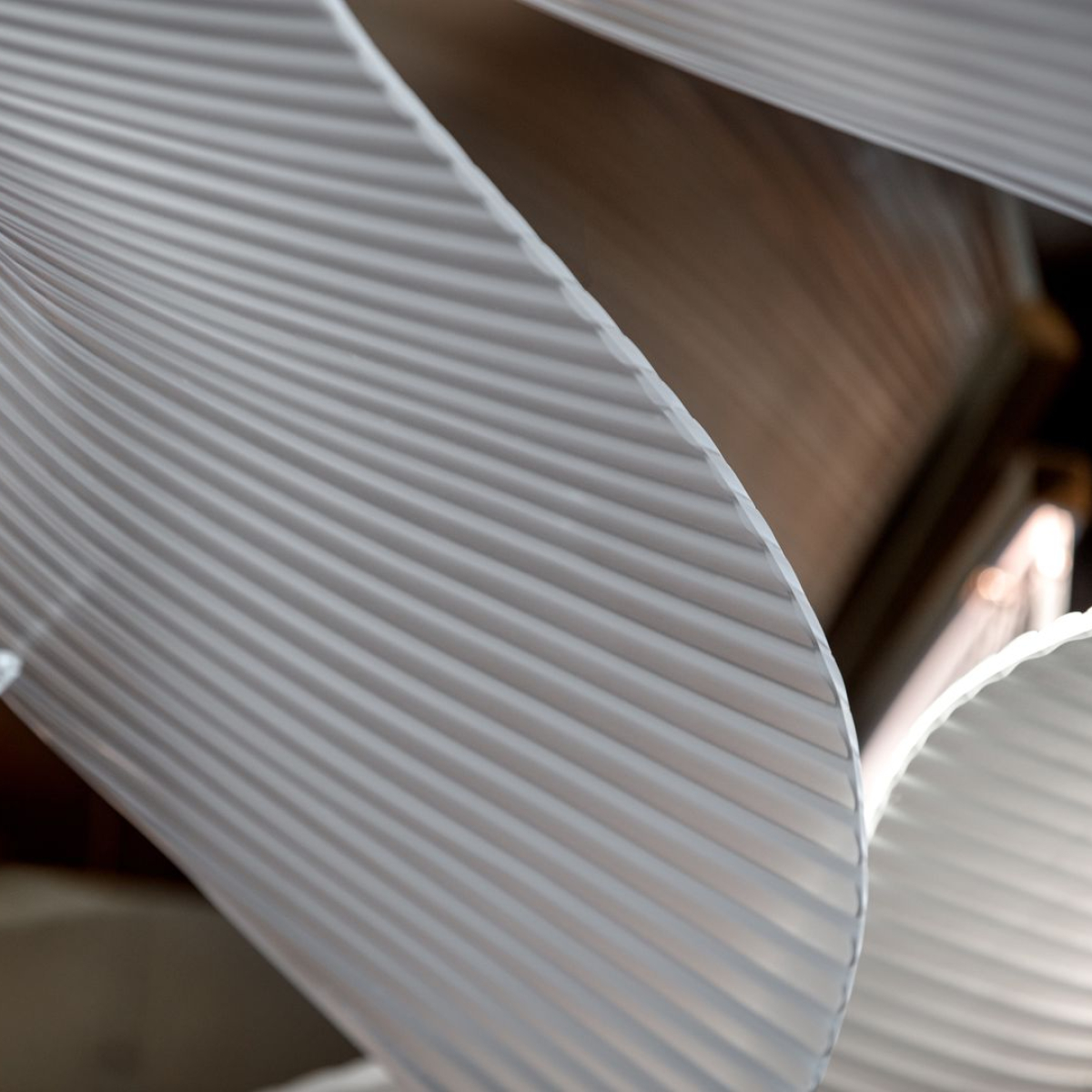 Preciosa-TAJ©Ales-Vyslouzil-Photography-22_fullhd