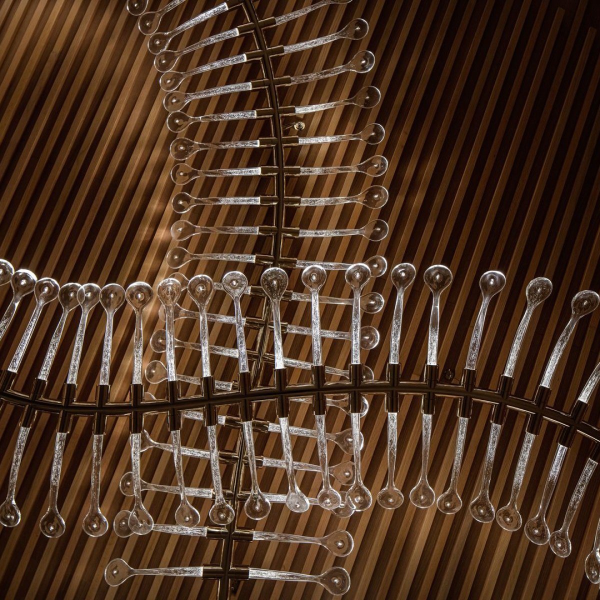 Preciosa-TAJ©Ales-Vyslouzil-Photography-13_fullhd