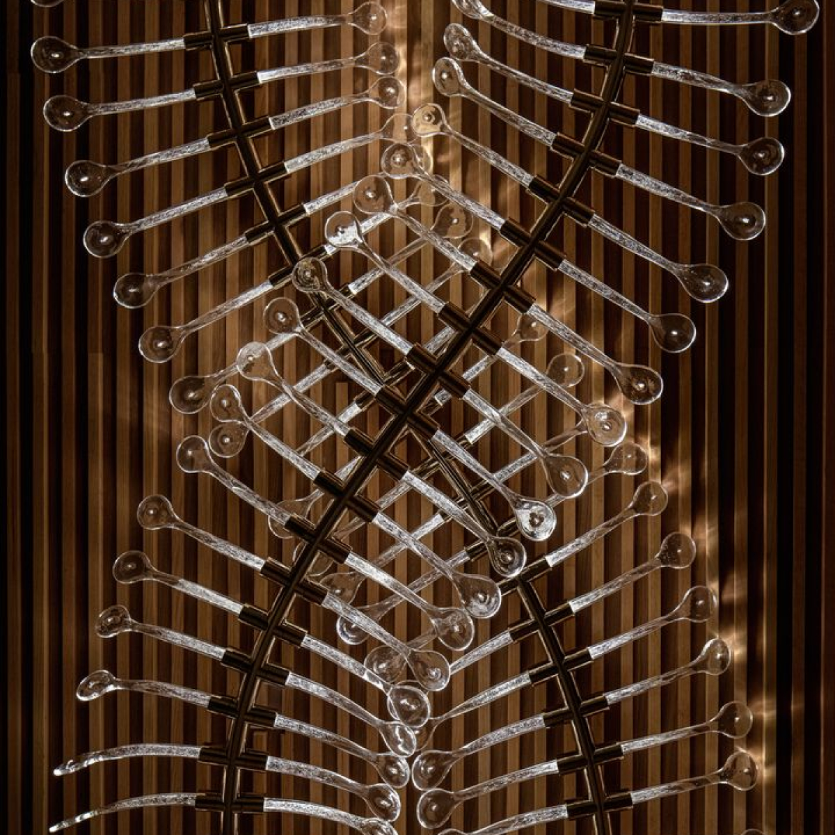 Preciosa-TAJ©Ales-Vyslouzil-Photography-12_fullhd