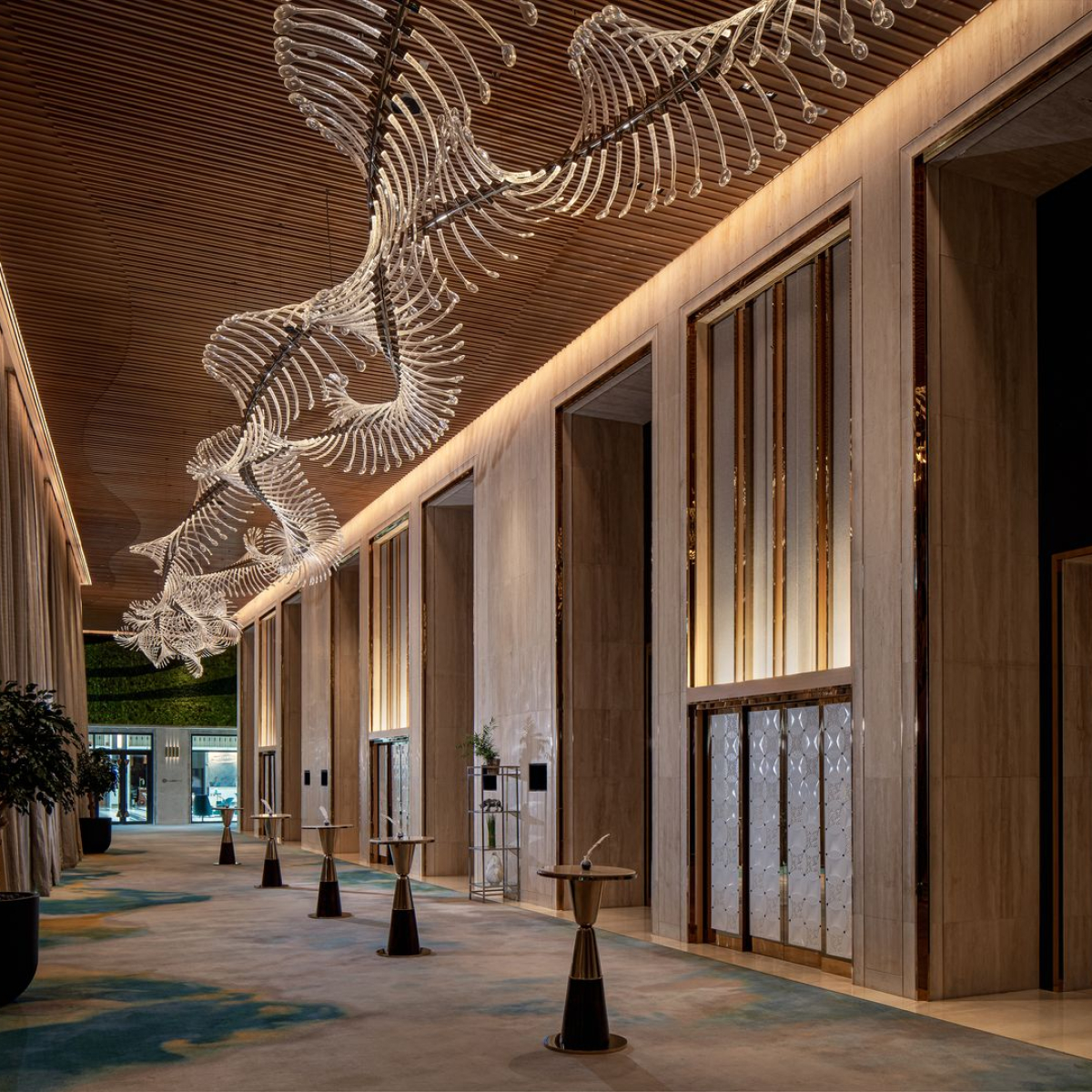 Preciosa-TAJ©Ales-Vyslouzil-Photography-3_fullhd