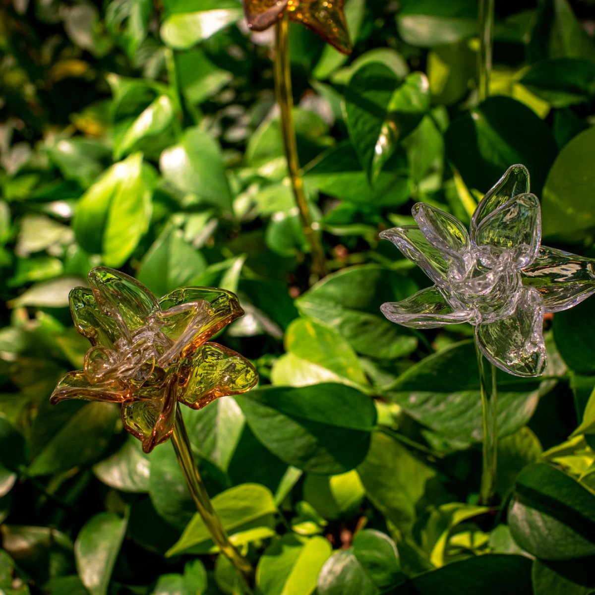 PRECIOSA_Lighting_Hospital_Bahrain_Vyslouzi_16_full_fullhd