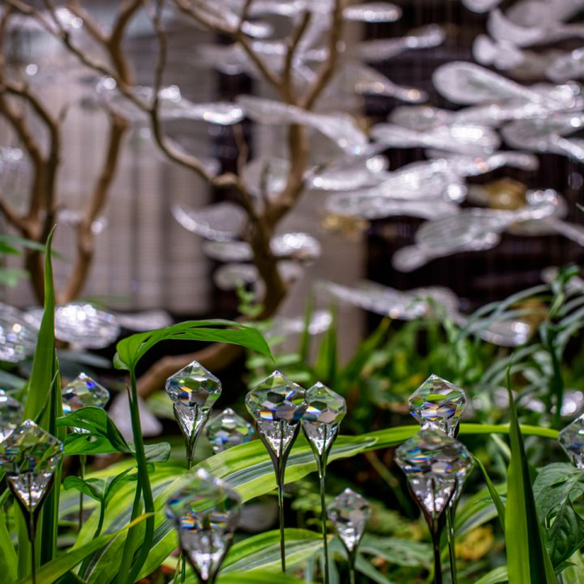 PRECIOSA_Lighting_Hospital_Bahrain_Vyslouzi_2_full_fullhd