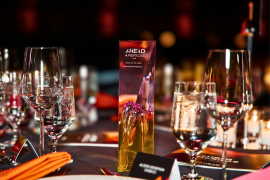Award trophy for AHEAD Americas displayed on an elegant hospitality table.