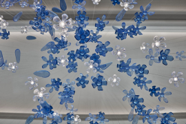 Květy a listy z pohledu zdola