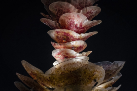 The floral shaped sculpture