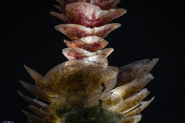 The floral shaped sculpture