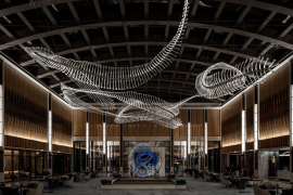 Preciosa-TAJ©Ales-Vyslouzil-Photography-47_fullhd