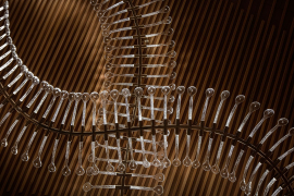 Preciosa-TAJ©Ales-Vyslouzil-Photography-13_fullhd