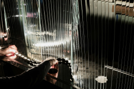 PRECIOSA_Lighting_Caesar_Palace_Las_Vegas_Prototype_Photo_fullhd8