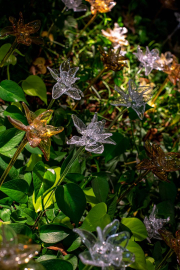 PRECIOSA_Lighting_Hospital_Bahrain_Vyslouzi_17_full_fullhd