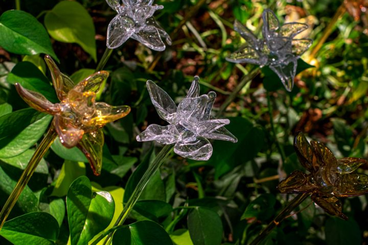 PRECIOSA_Lighting_Hospital_Bahrain_Vyslouzi_17_full_fullhd