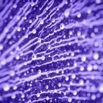 150x150-purple