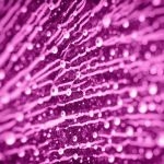 150x150-pink