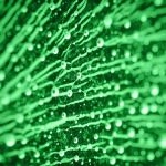 150x150-Green